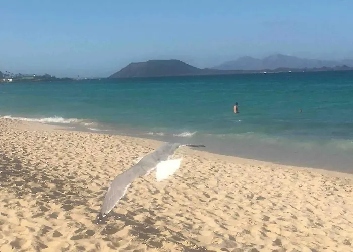 Oasis Tamarindo Dona Laura 69b Wi Fi, Smart Tv, Portico, Piscine Appartement *