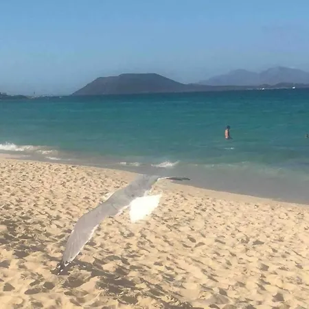 Oasis Tamarindo Dona Laura 69b Wi Fi, Smart Tv, Portico, Piscine Apartamento *