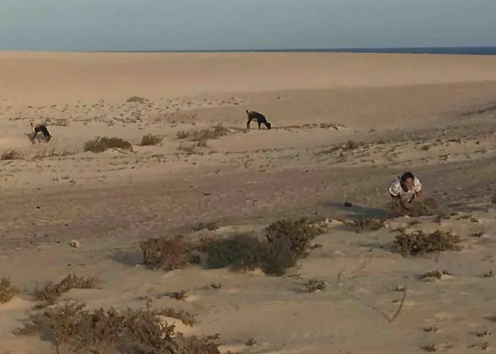 Oasis Tamarindo Dona Laura 69b Wi Fi, Smart Tv, Portico, Piscine 科拉雷侯