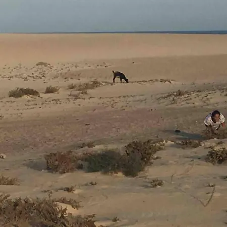 Oasis Tamarindo Dona Laura 69b Wi Fi, Smart Tv, Portico, Piscine Corralejo